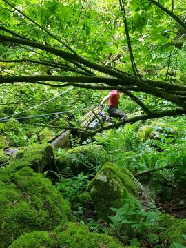 Sanacija črnega odlagališča – Banova jama 035